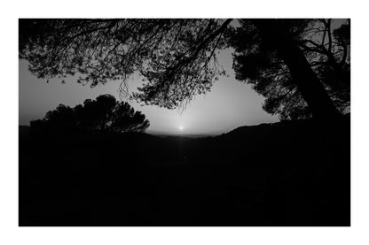 Soleil rond au centre d’un ciel orange, pins en silhouettes à Bibemus, noir et blanc avec bordure