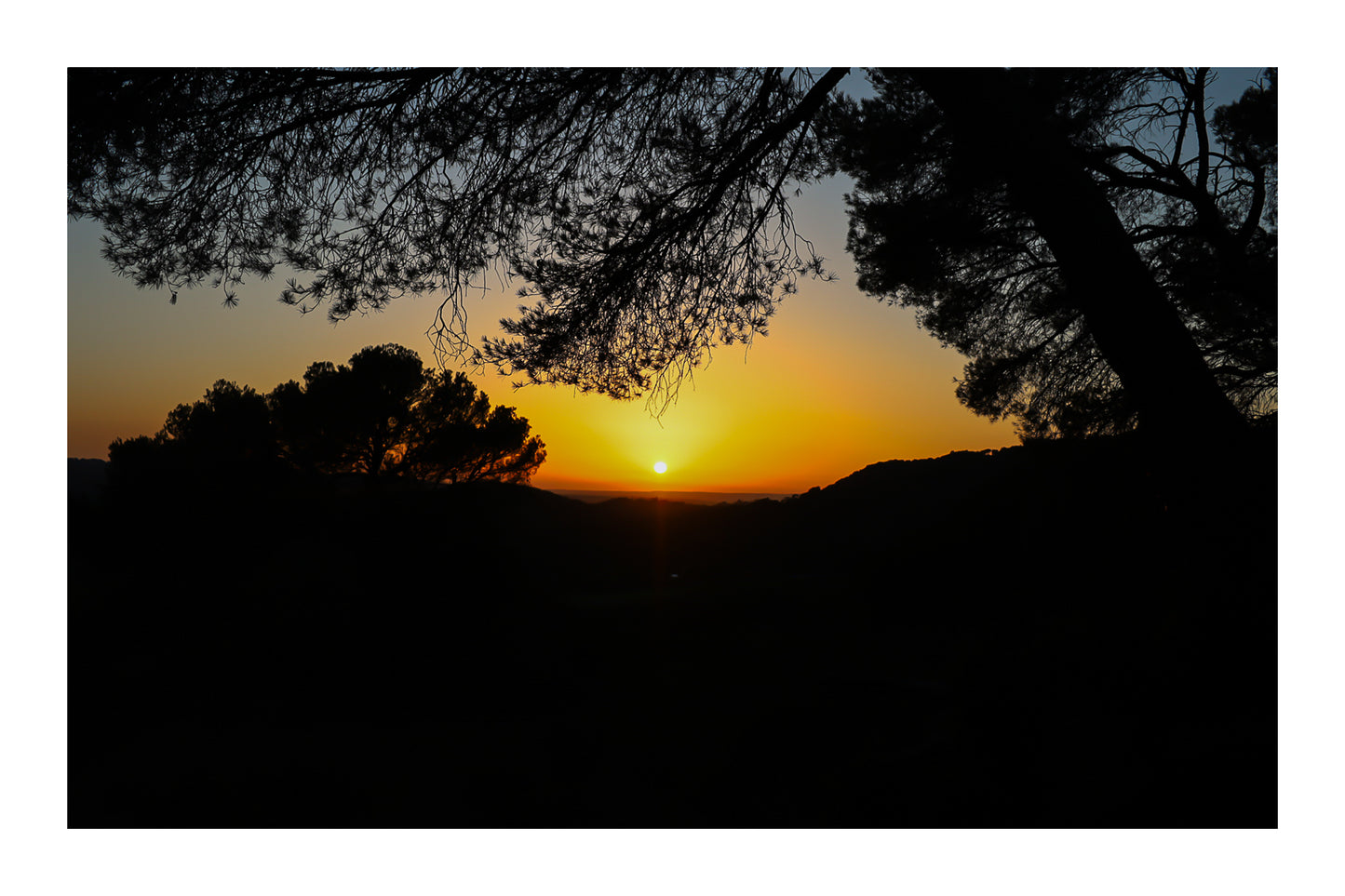 Soleil rond au centre d’un ciel orange, pins en silhouettes à Bibemus avec bordure