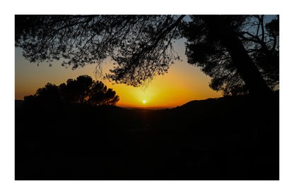 Soleil rond au centre d’un ciel orange, pins en silhouettes à Bibemus avec bordure