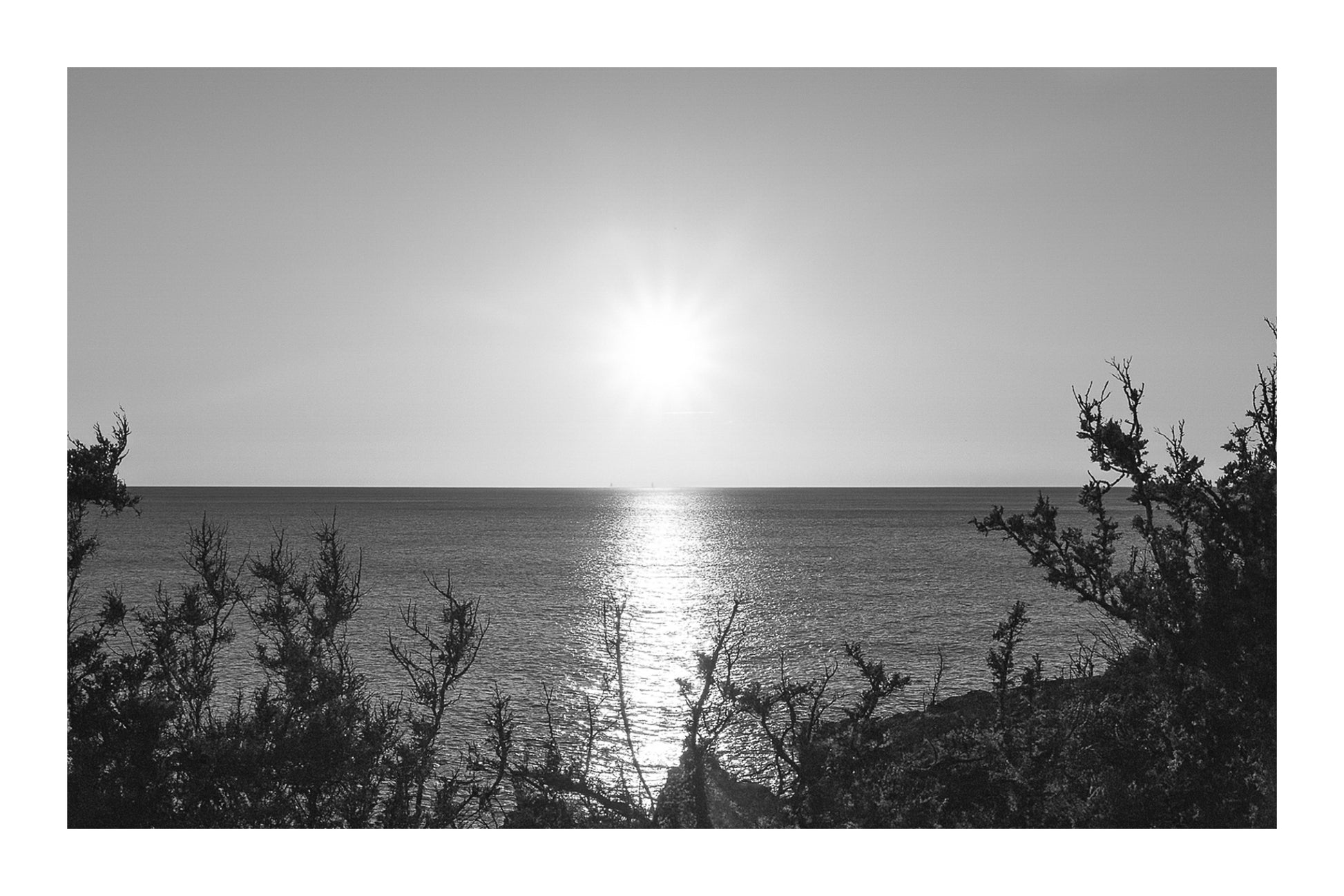 disque solaire brillant au-dessus d’une mer calme vu à travers les arbustes du rivage de Carry-le-Rouet, noir et blanc avec bordure