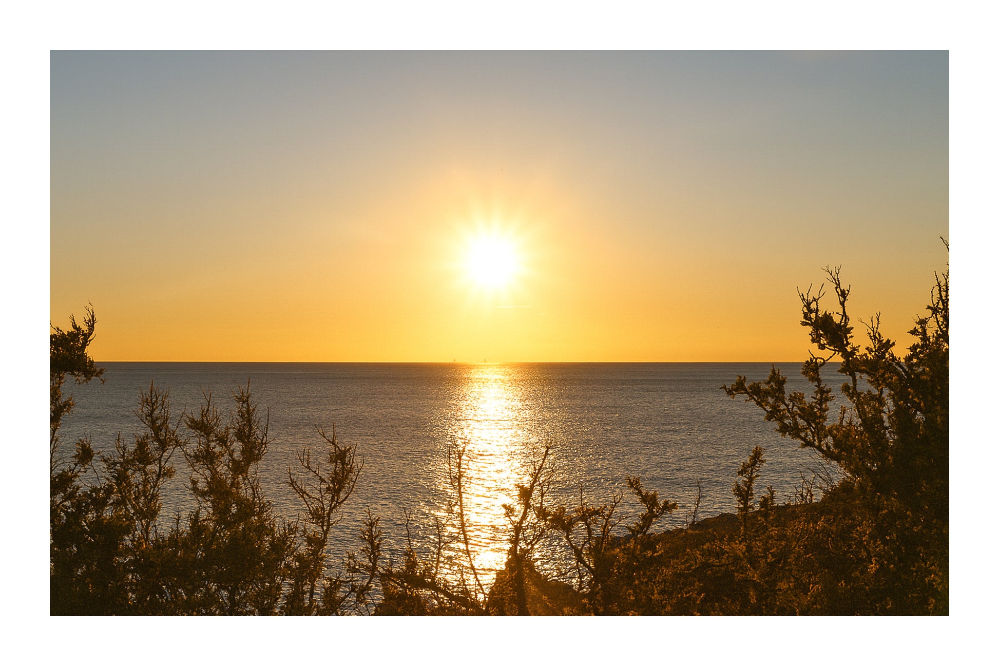 disque solaire brillant au-dessus d’une mer calme vu à travers les arbustes du rivage de Carry-le-Rouet avec bordure