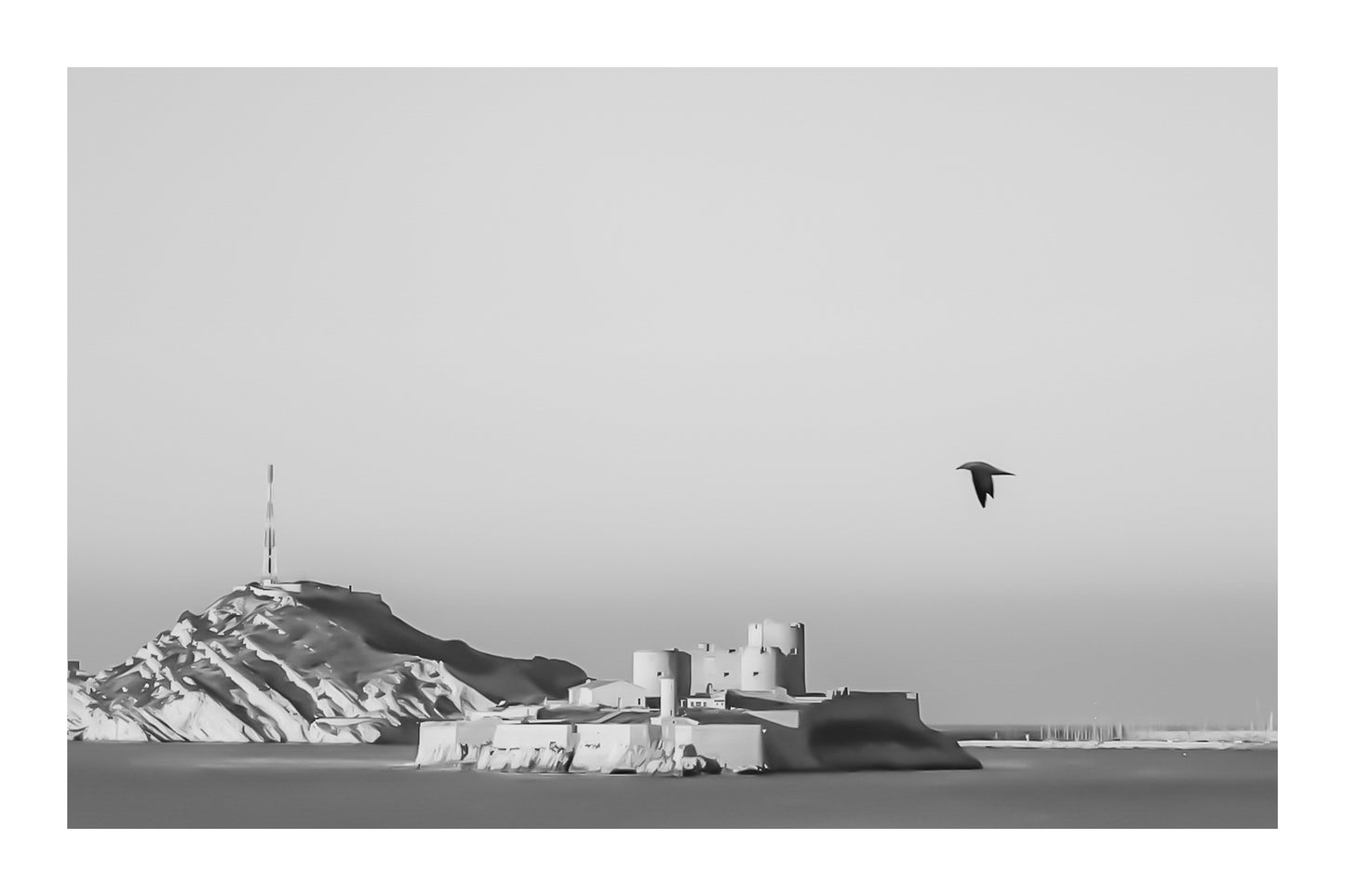 Château d’If en gros plan, goéland en vol et lumière rasante du soir sur les roches claires, noir et blanc ave bordure