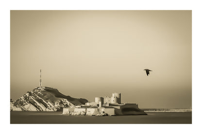 Château d’If en gros plan, goéland en vol et lumière rasante du soir sur les roches claires, vintage avec bordure