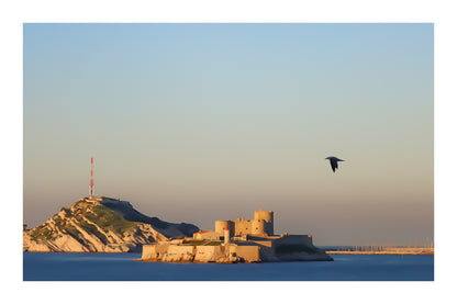 Château d’If en gros plan, goéland en vol et lumière rasante du soir sur les roches claires, avec bordure