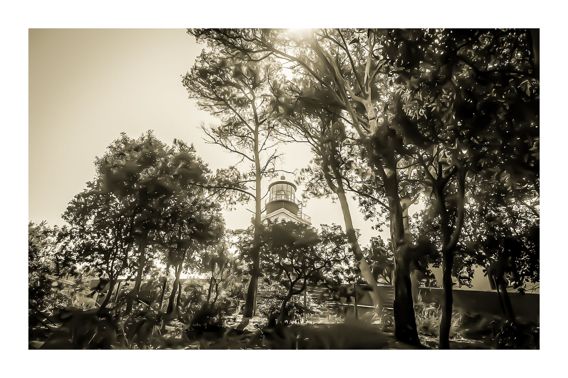 Phare de Porquerolles aperçu à travers les pins maritimes, lumière filtrée et ambiance de sous-bois méditerranéen, vintage avec bordure