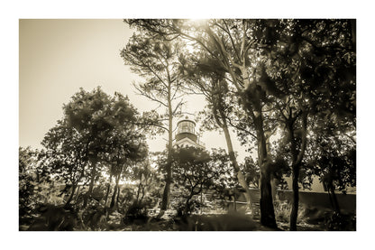 Phare de Porquerolles aperçu à travers les pins maritimes, lumière filtrée et ambiance de sous-bois méditerranéen, vintage avec bordure