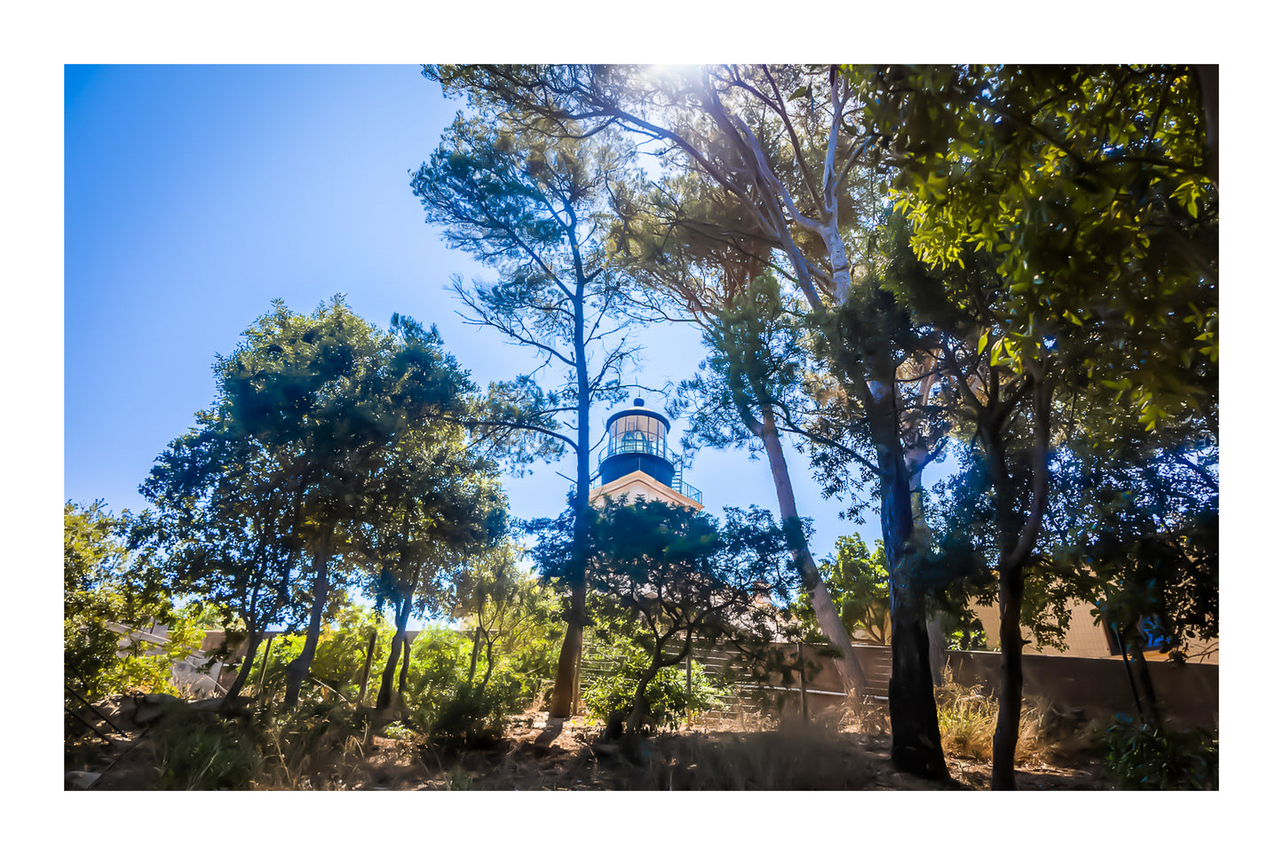 Phare de Porquerolles aperçu à travers les pins maritimes, lumière filtrée et ambiance de sous-bois méditerranéen, avec bordure