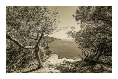 Point de vue du sentier du littoral encadré par les pins, falaises et Méditerranée d’un bleu profond à l’horizon, vintage avec bordure