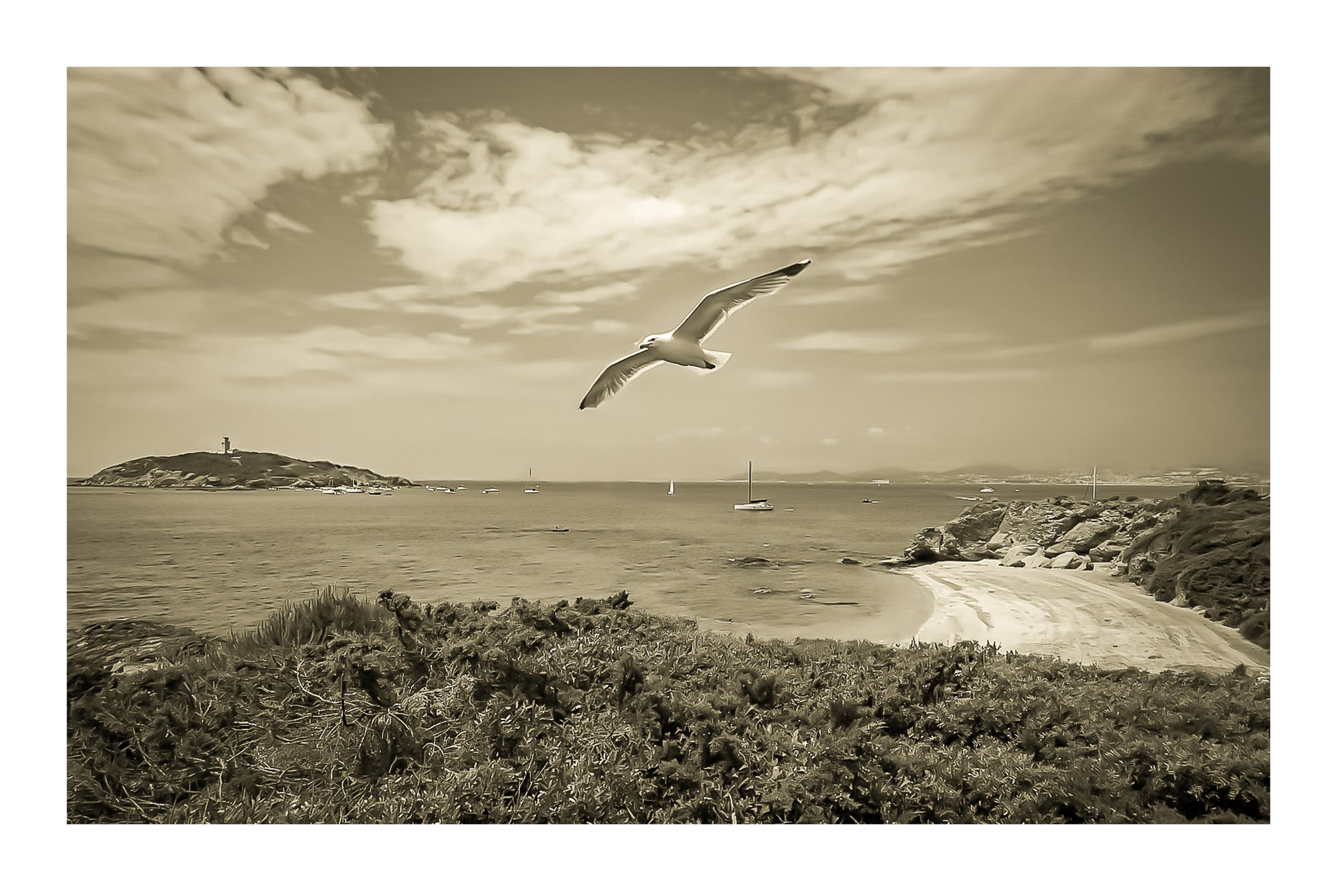 Goéland en vol au-dessus d’une crique avec le phare du Grand Rouveau au loin, rendu vintage sépia avec bordure
