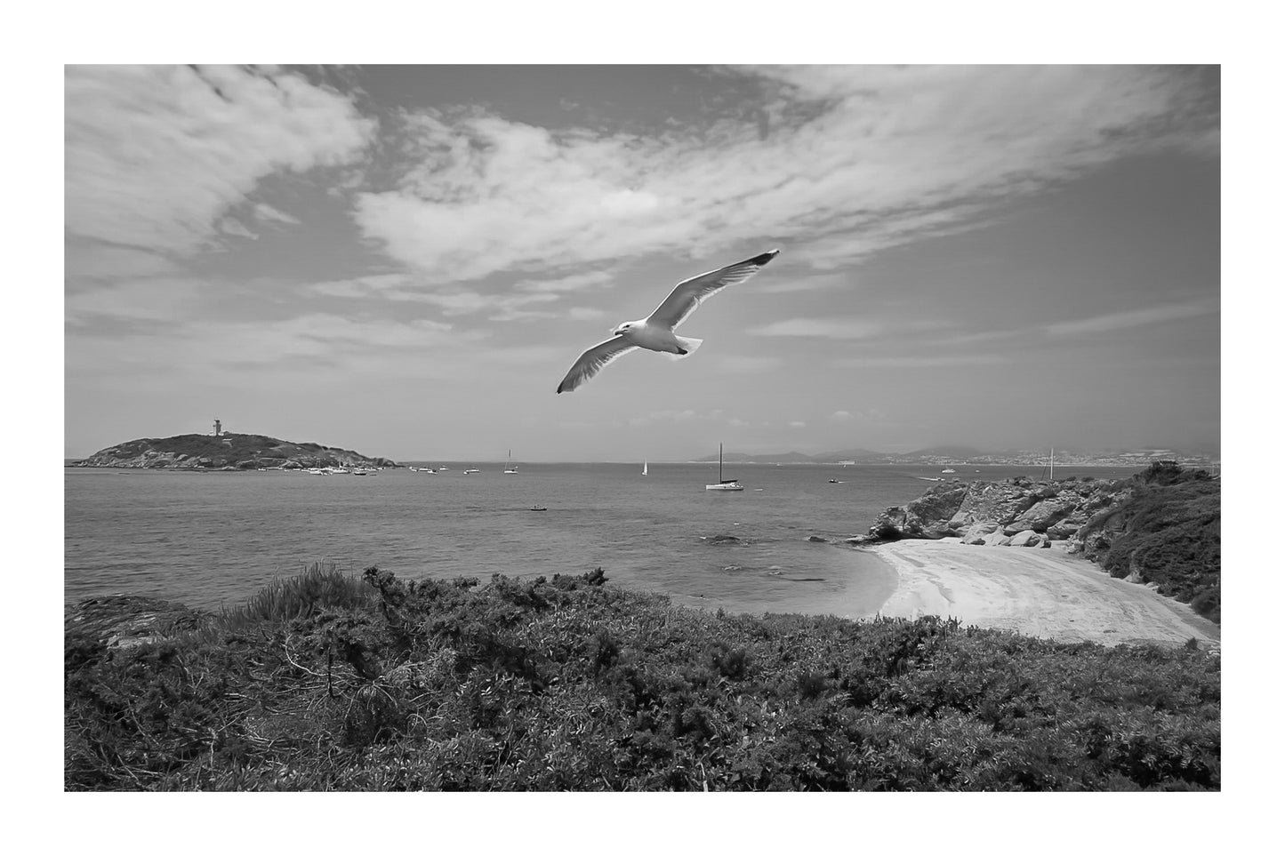 Goéland en vol au-dessus d’une crique avec le phare du Grand Rouveau au loin, noir et blanc avec bordure