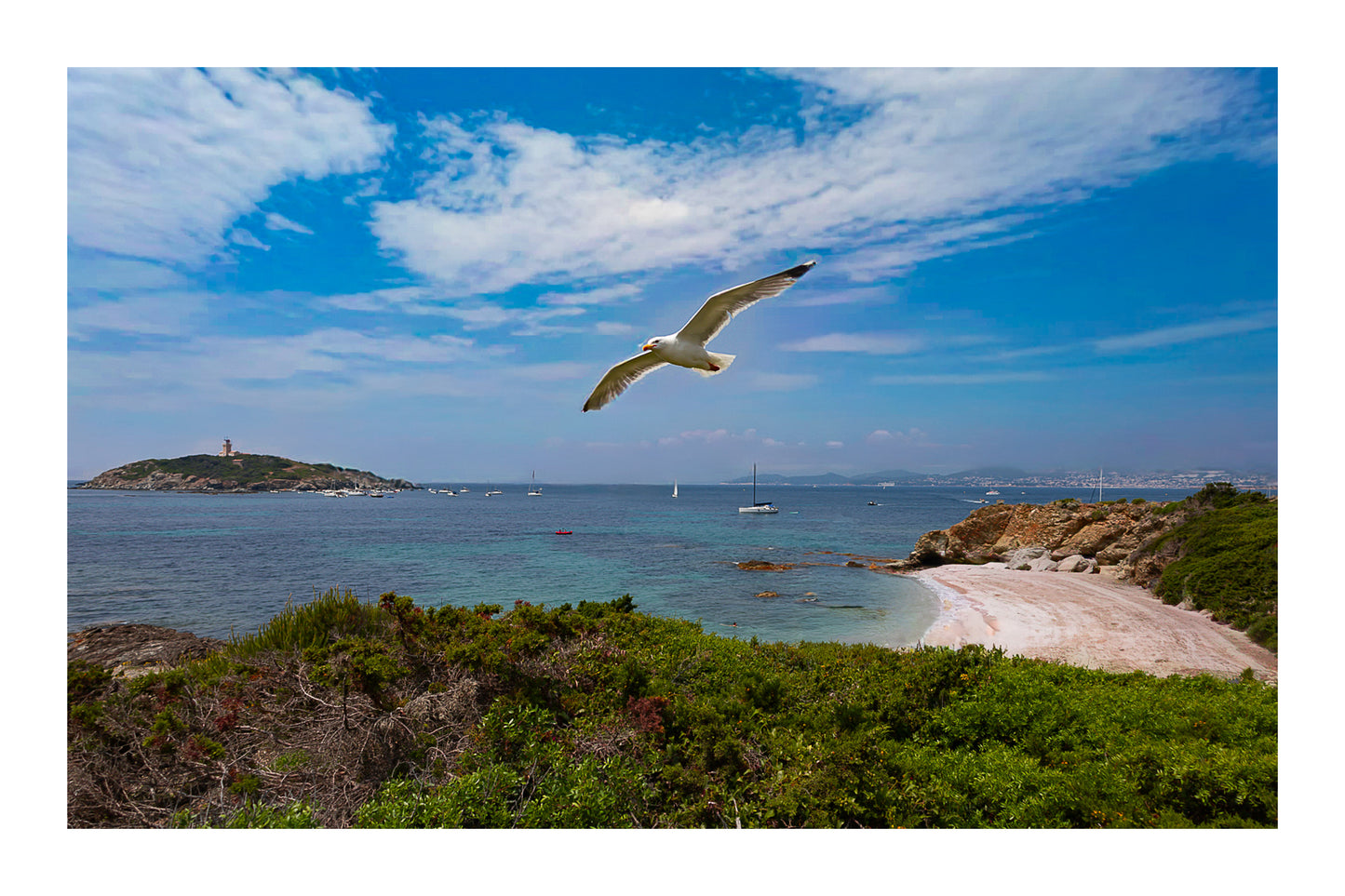 Goéland en vol au-dessus d’une crique avec le phare du Grand Rouveau au loin, couleur avec bordure