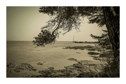 Branches de pin cadrant un rivage rocheux et un voilier au large, île des Embiez, style vintage avec bordure