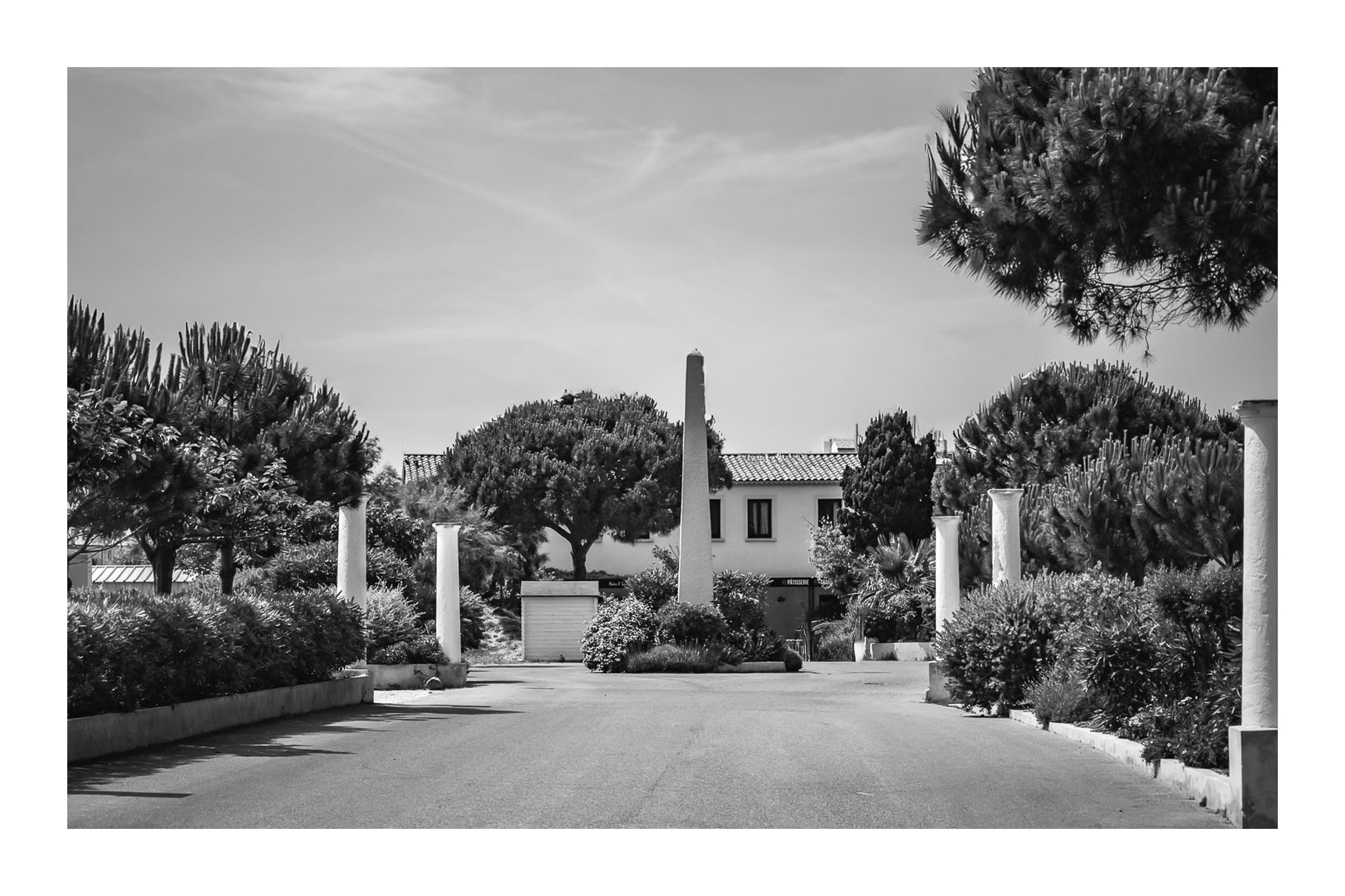 Allée bordée de colonnes et végétation méditerranéenne, île des Embiez, noir et blanc avec bordure