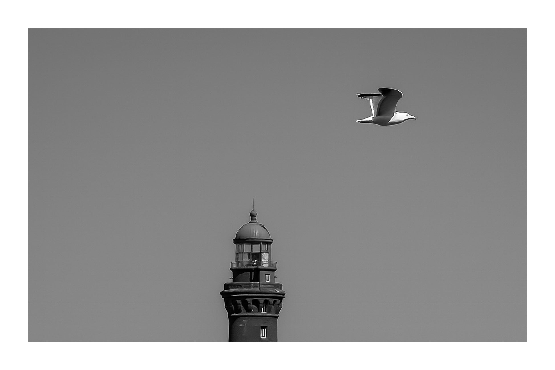 Goéland en vol passant devant un phare rouge sur fond de ciel bleu en Bretagne, noir et blanc avec bordure