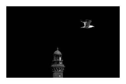 Goéland en vol passant devant un phare rouge sur fond de ciel bleu en Bretagne, version balck édition avec bordure