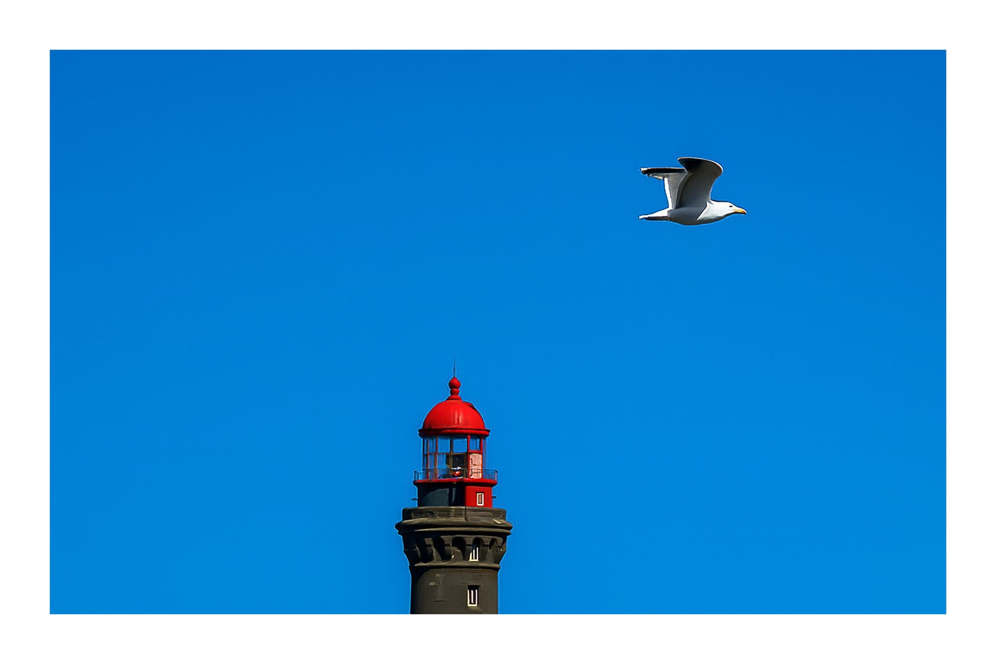 Goéland en vol passant devant un phare rouge sur fond de ciel bleu en Bretagne avec bordure