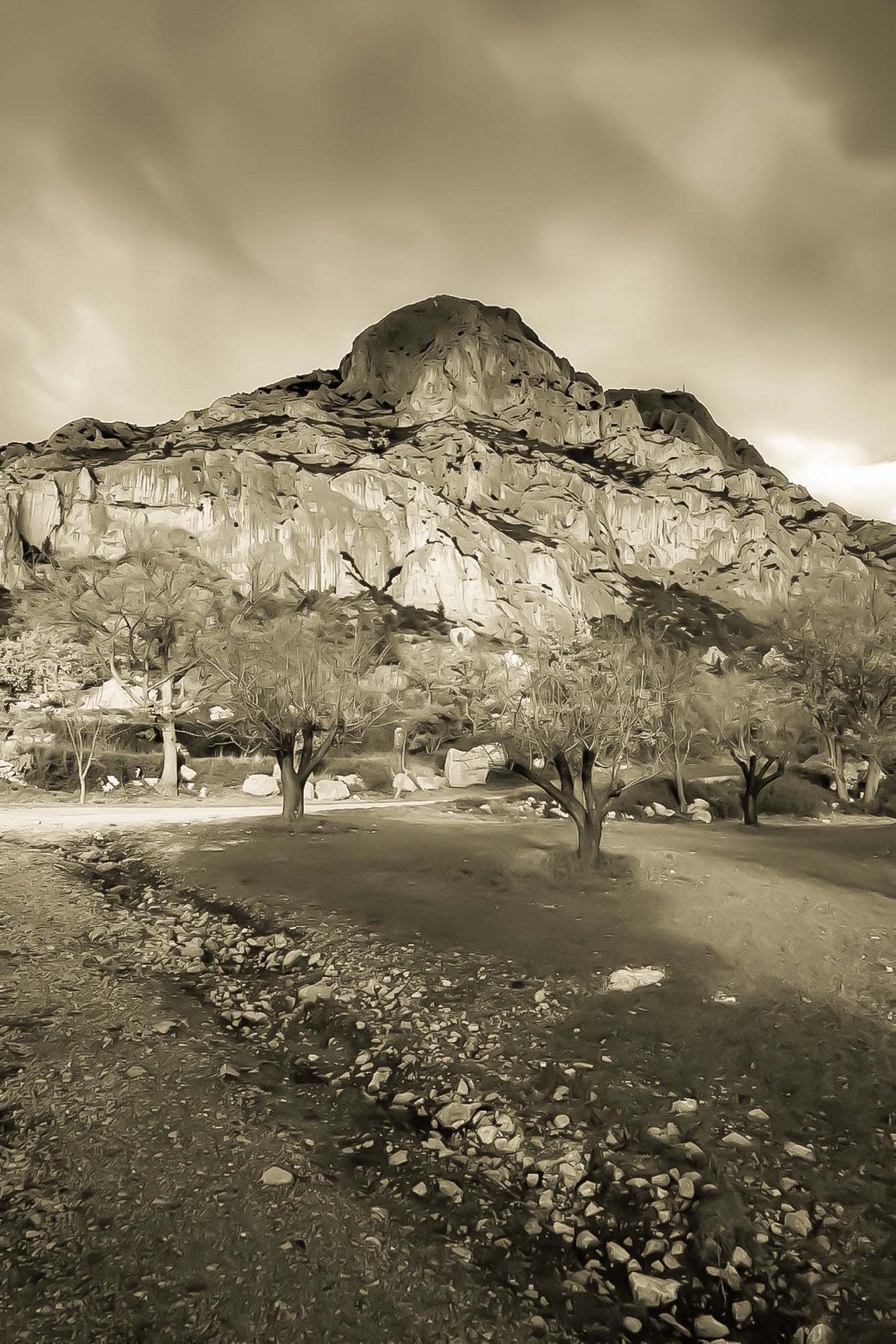 Amandiers au pied de la Sainte-Victoire illuminée par un ciel orageux bleu profond, vintage