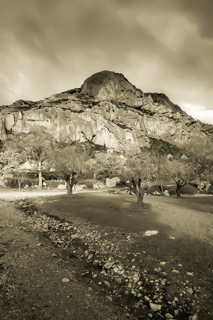 Amandiers au pied de la Sainte-Victoire illuminée par un ciel orageux bleu profond, vintage