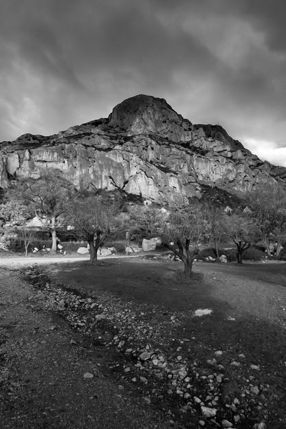 Amandiers au pied de la Sainte-Victoire illuminée par un ciel orageux bleu profond, noir et blanc