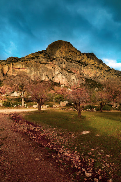 Amandiers au pied de la Sainte-Victoire illuminée par un ciel orageux bleu profond