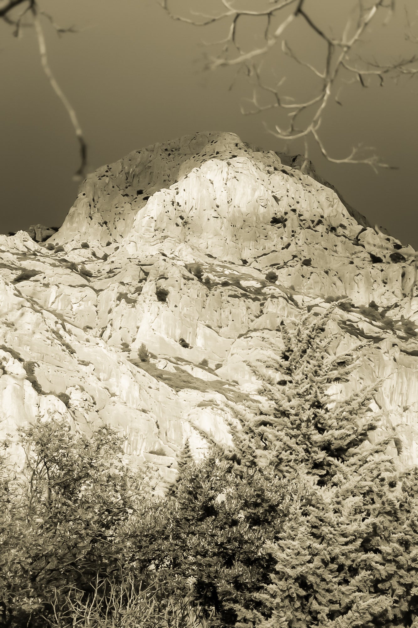 Sommet de la Sainte-Victoire encadré de branches, éclairé sur fond de ciel noir, vintage