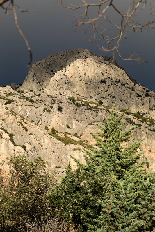Sommet de la Sainte-Victoire encadré de branches, éclairé sur fond de ciel noir