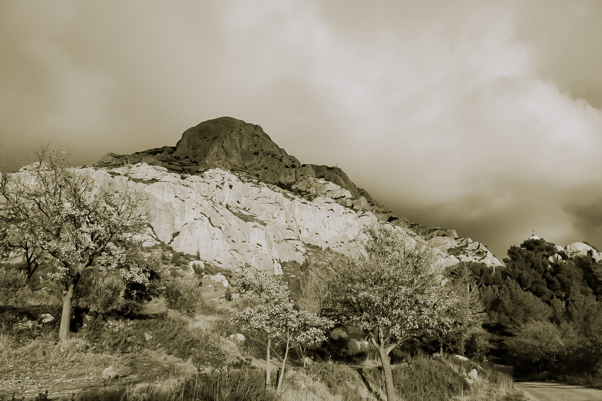Arbres d’automne dorés devant la falaise claire de la Sainte-Victoire et un ciel gris, vintage