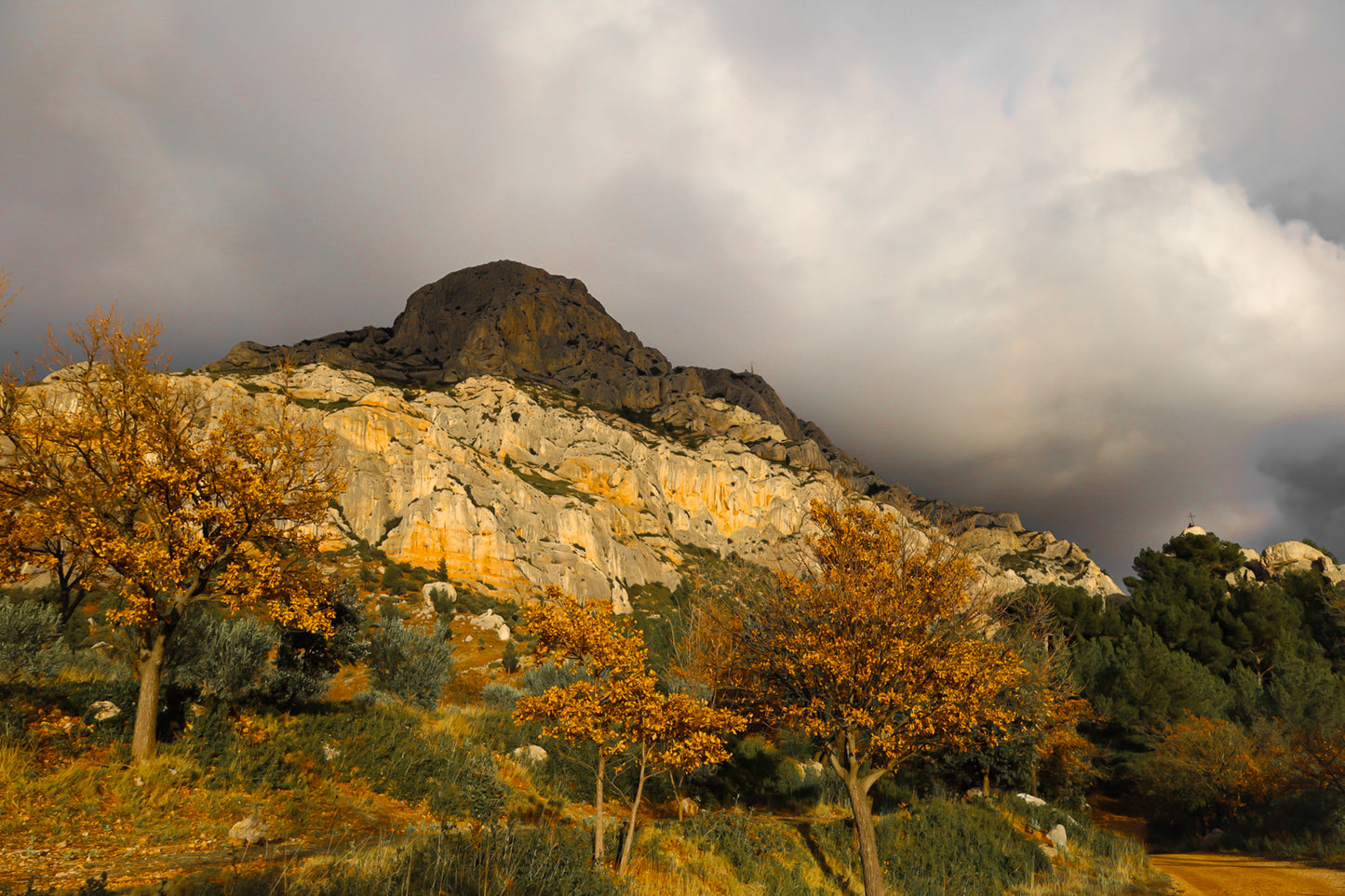 Arbres d’automne dorés devant la falaise claire de la Sainte-Victoire et un ciel gris