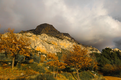 Arbres d’automne dorés devant la falaise claire de la Sainte-Victoire et un ciel gris