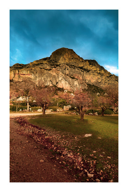 Amandiers au pied de la Sainte-Victoire illuminée par un ciel orageux bleu profond avec bordure