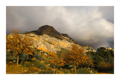 Arbres d’automne dorés devant la falaise claire de la Sainte-Victoire et un ciel gris avec bordure