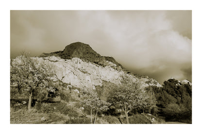Arbres d’automne dorés devant la falaise claire de la Sainte-Victoire et un ciel gris, vintage avec bordure