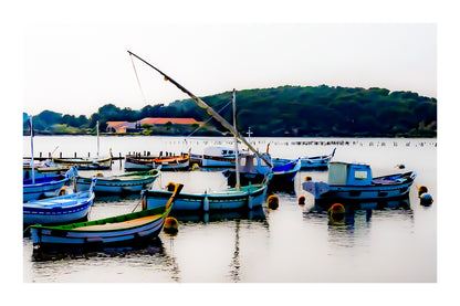 Barques traditionnelles serrées au port du Brusc au coucher du soleil, reflets dorés, couleur