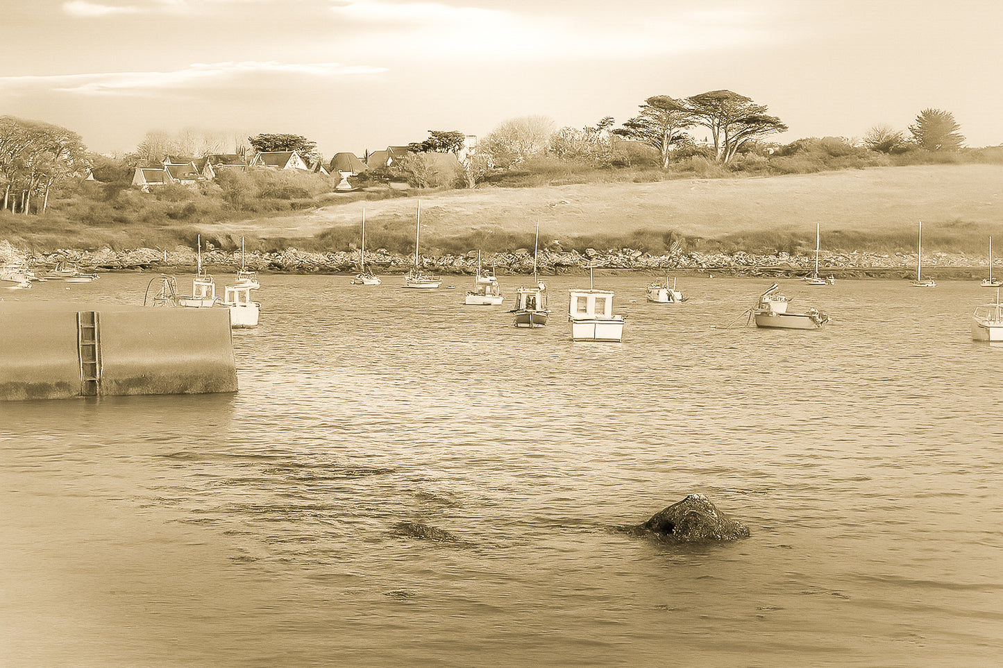 Panorama de la ria de Portsall avec nombreux bateaux au mouillage, coteau arboré en arrière-plan, lumière de fin de journée, vintage
