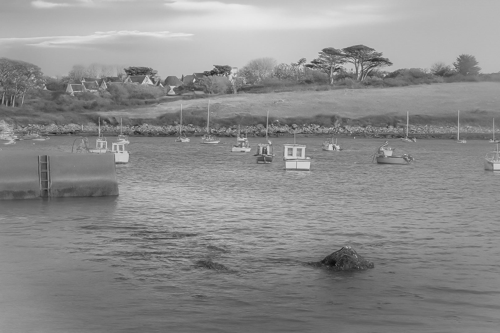 Panorama de la ria de Portsall avec nombreux bateaux au mouillage, coteau arboré en arrière-plan, lumière de fin de journée, noir et blanc