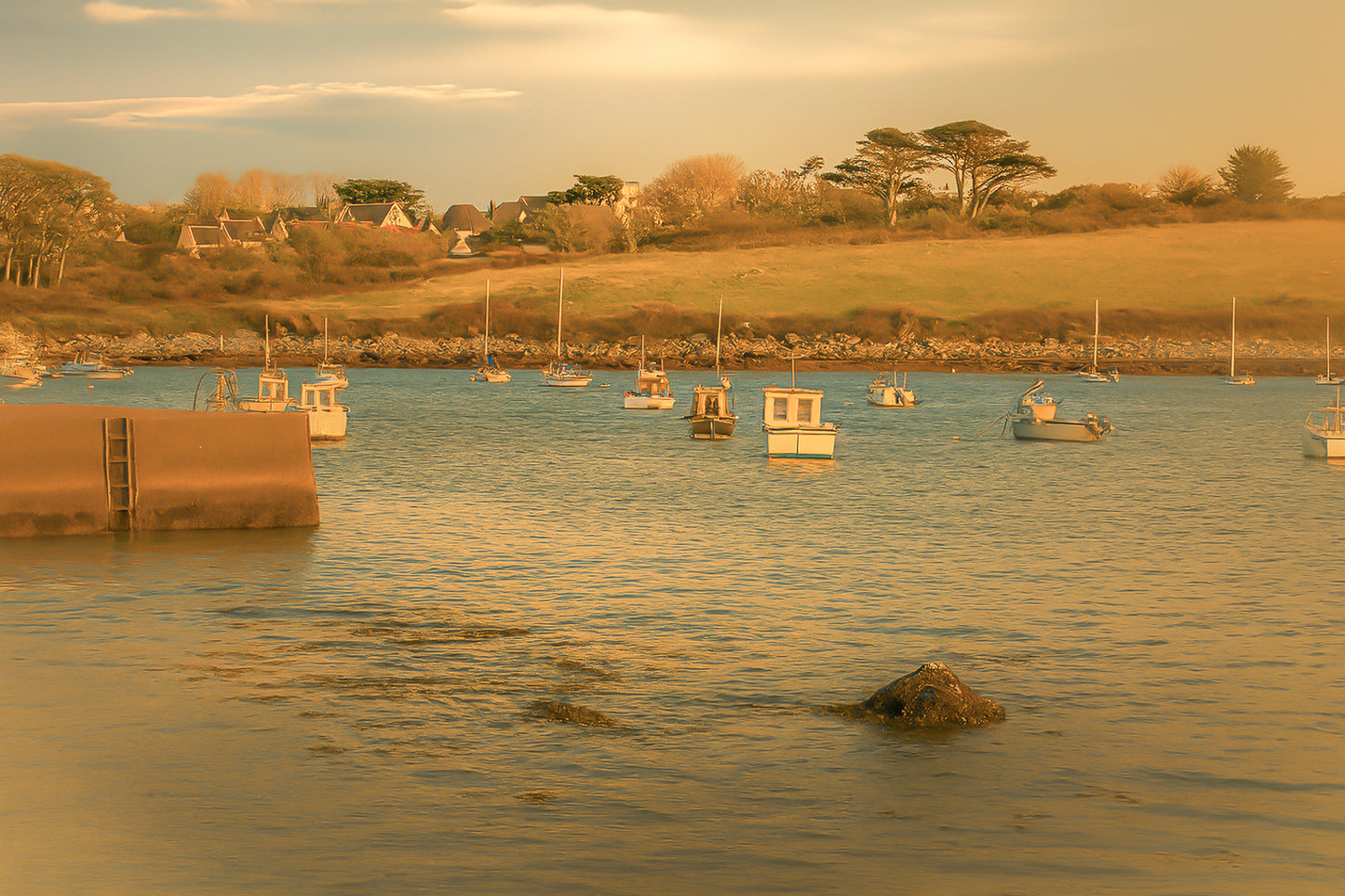 Panorama de la ria de Portsall avec nombreux bateaux au mouillage, coteau arboré en arrière-plan, lumière de fin de journée