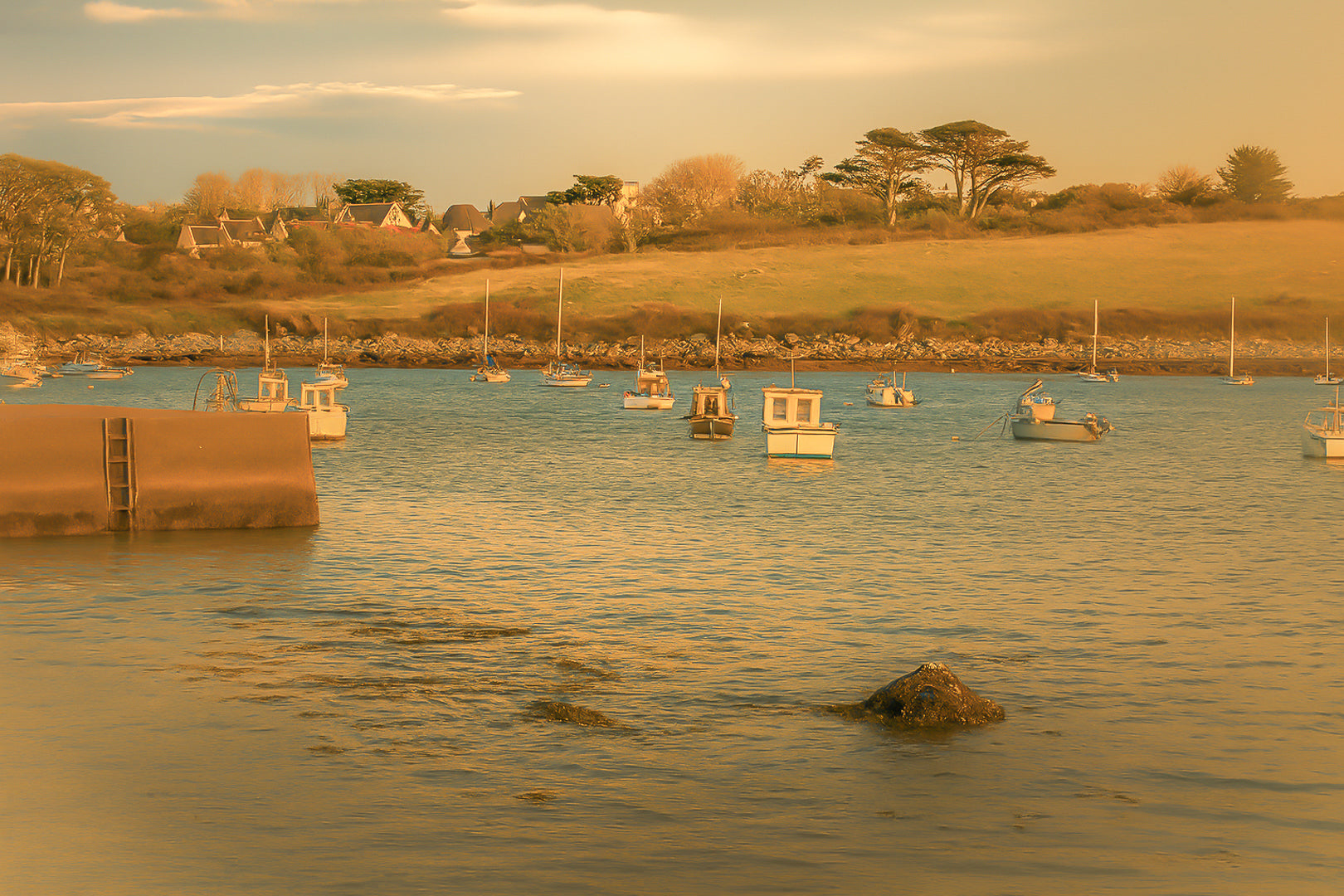 Panorama de la ria de Portsall avec nombreux bateaux au mouillage, coteau arboré en arrière-plan, lumière de fin de journée