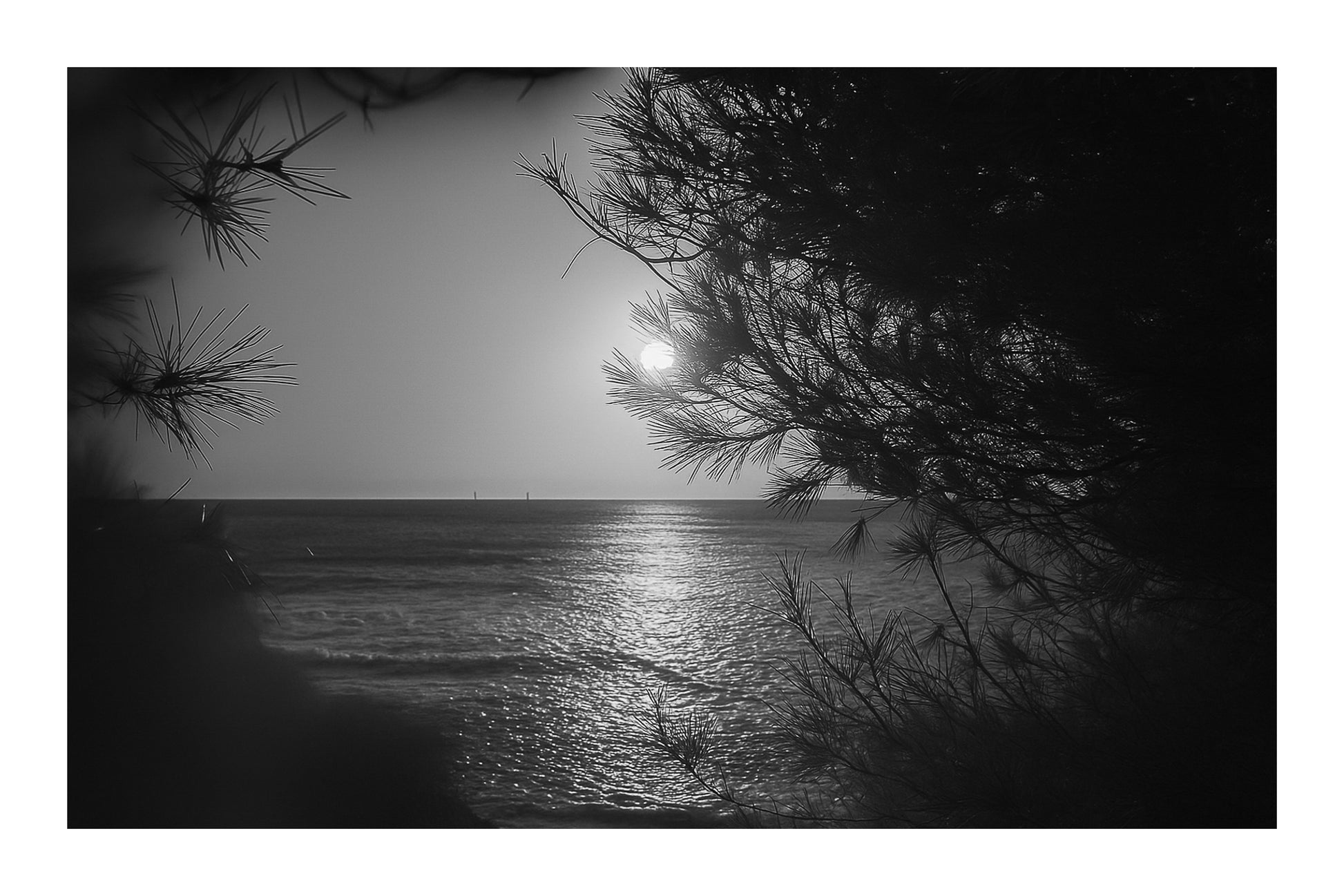 Port d’Alon, rayon de soleil “piégé” dans les aiguilles de pin au-dessus de la mer, noir et blanc avec bordure