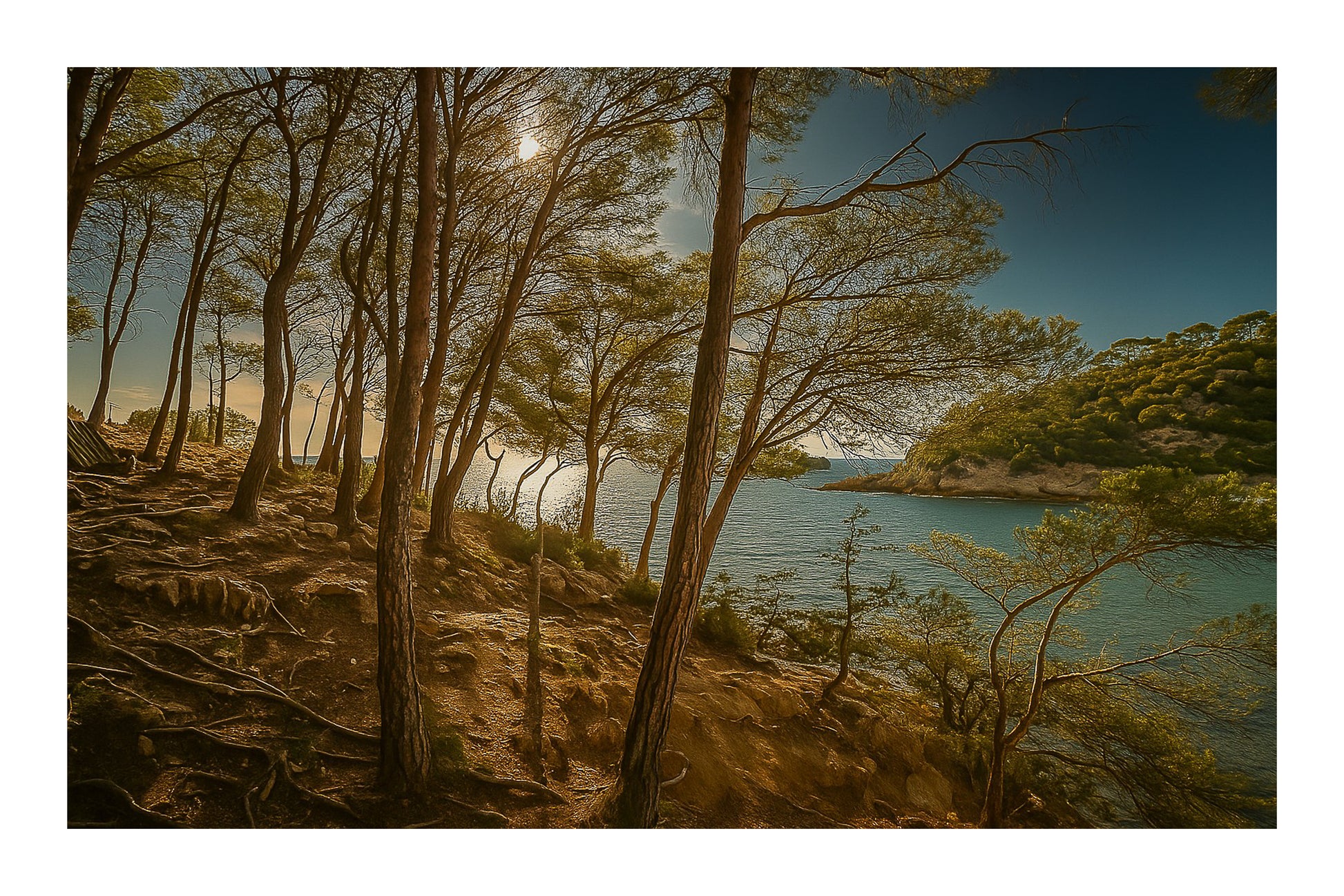 Port d’Alon, lumière dorée parmi les pins, vue sur la baie, couleur avec bordure