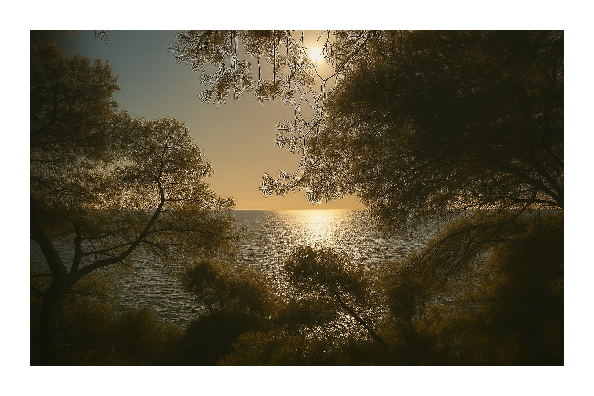 Branches de pins encadrant un soleil couchant au-dessus de la mer, avec bordure