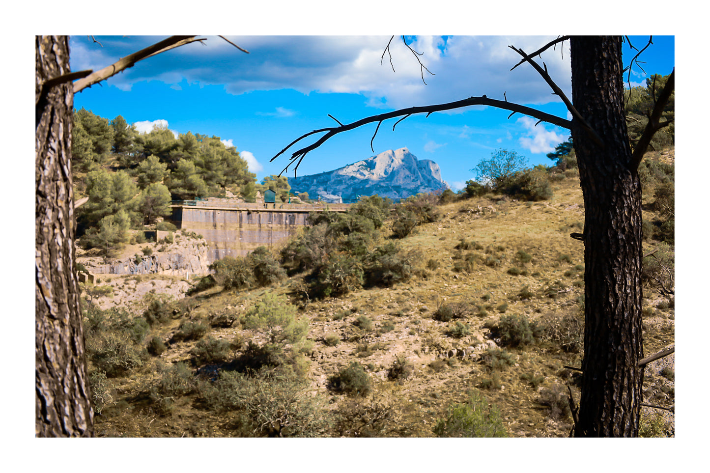 Branches de pins cadrant un paysage de garrigue, barrage de Zola et Sainte-Victoire au loin sous un ciel bleu avec bordure