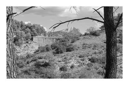 Branches de pins cadrant un paysage de garrigue, barrage de Zola et Sainte-Victoire au loin sous un ciel bleu, noir et blanc avec bordure