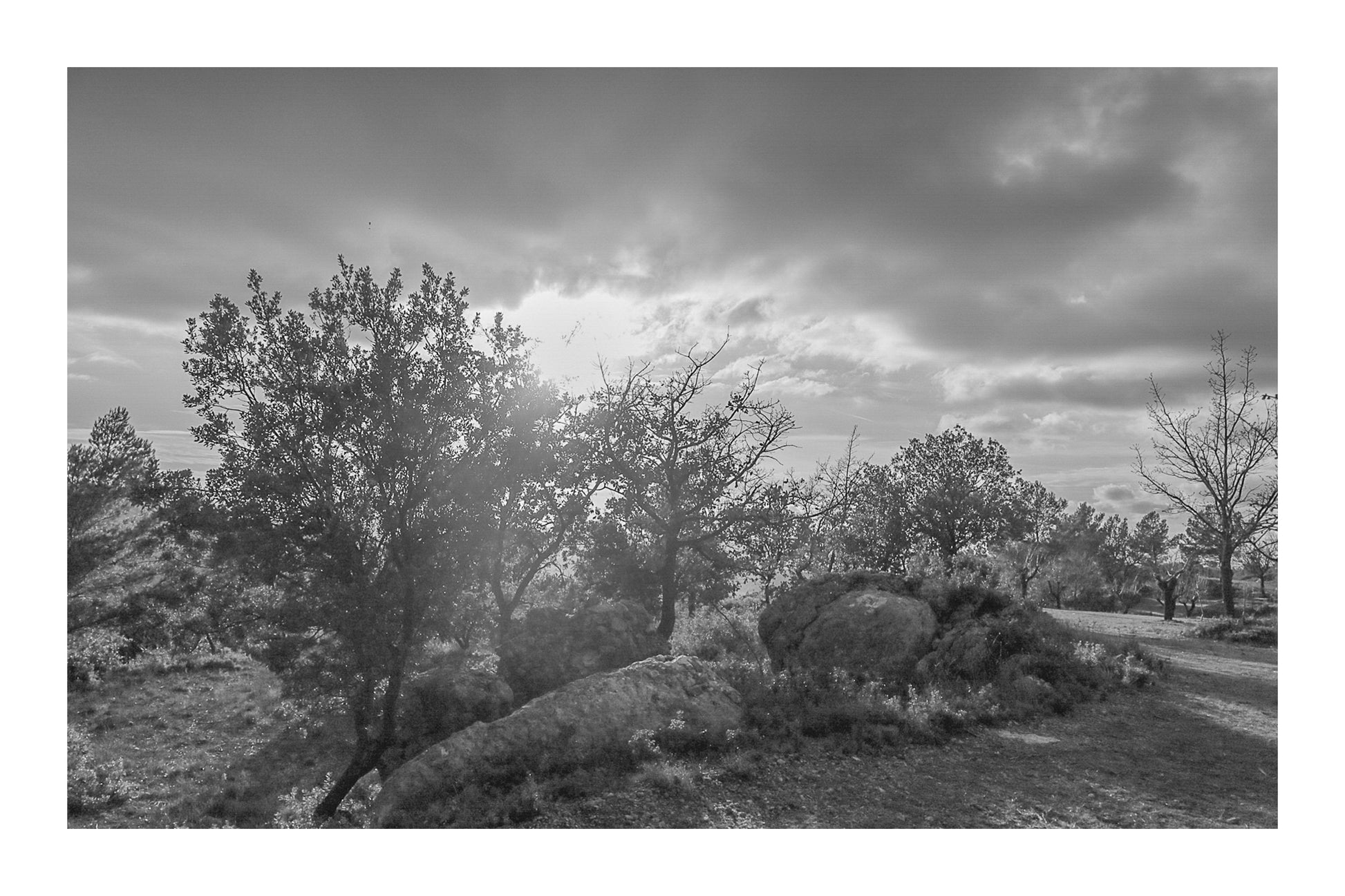 Arbres aux feuilles rousses et gros rochers éclairés par un soleil bas filtrant à travers les nuages, noir et blanc avec bordure