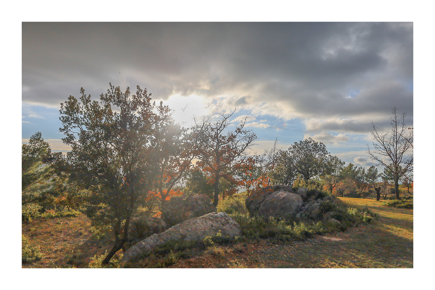 Arbres aux feuilles rousses et gros rochers éclairés par un soleil bas filtrant à travers les nuages avec bordure