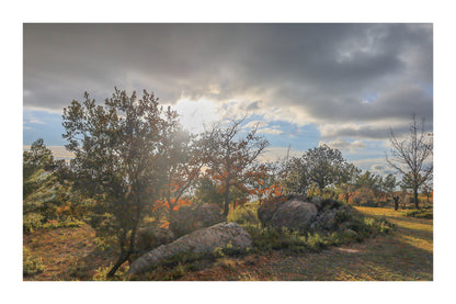 Arbres aux feuilles rousses et gros rochers éclairés par un soleil bas filtrant à travers les nuages avec bordure