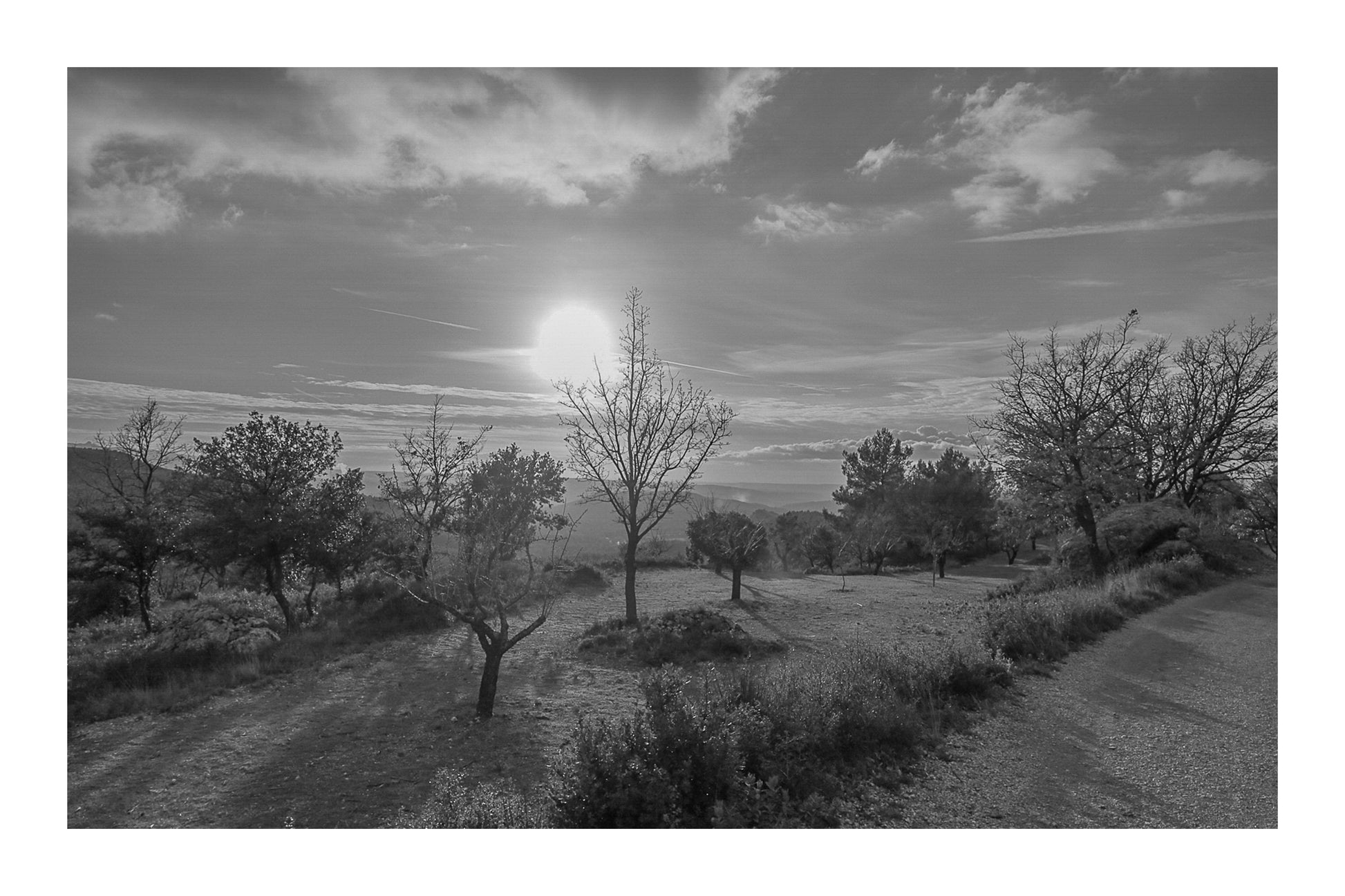 Petit arbre isolé et rochers de garrigue face à un soleil bas, ciel jaune et bleu au-dessus des collines, noir et blanc avec bordure