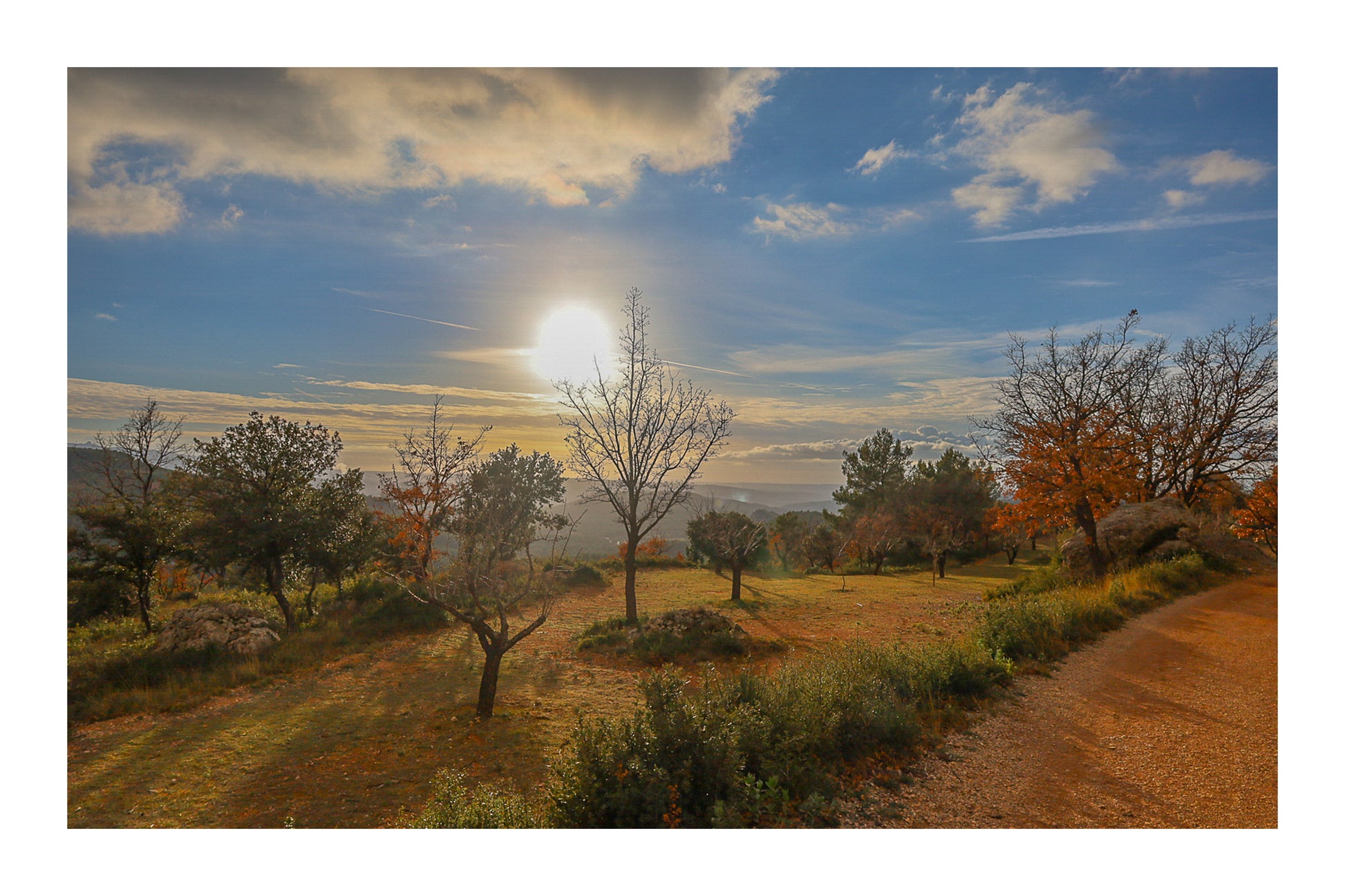 Petit arbre isolé et rochers de garrigue face à un soleil bas, ciel jaune et bleu au-dessus des collines avec bordure