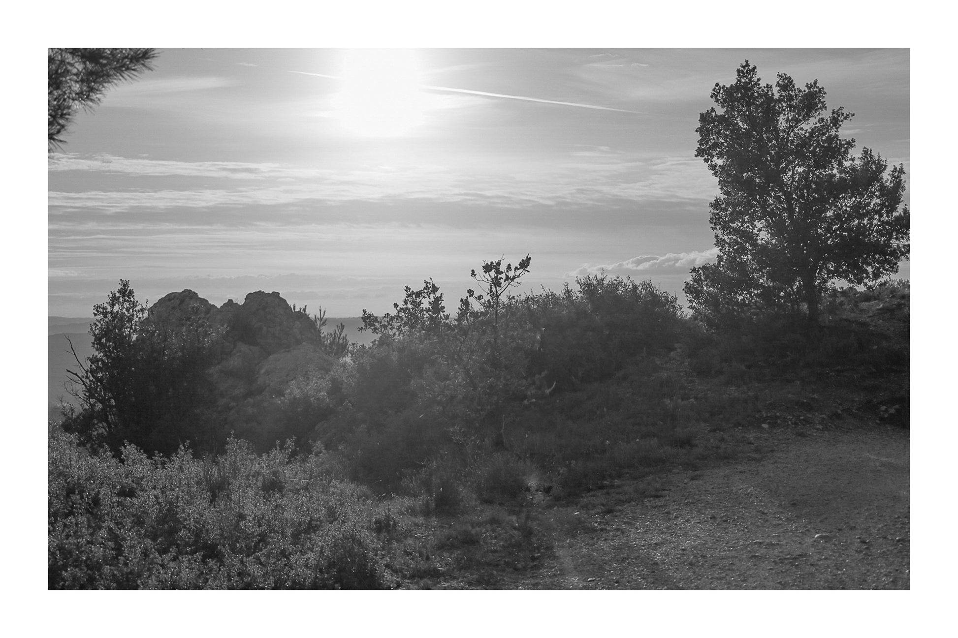 Large vue sur une forêt de pins et d’oliviers baignée par un coucher de soleil flamboyant, noir et blanc avec bordure