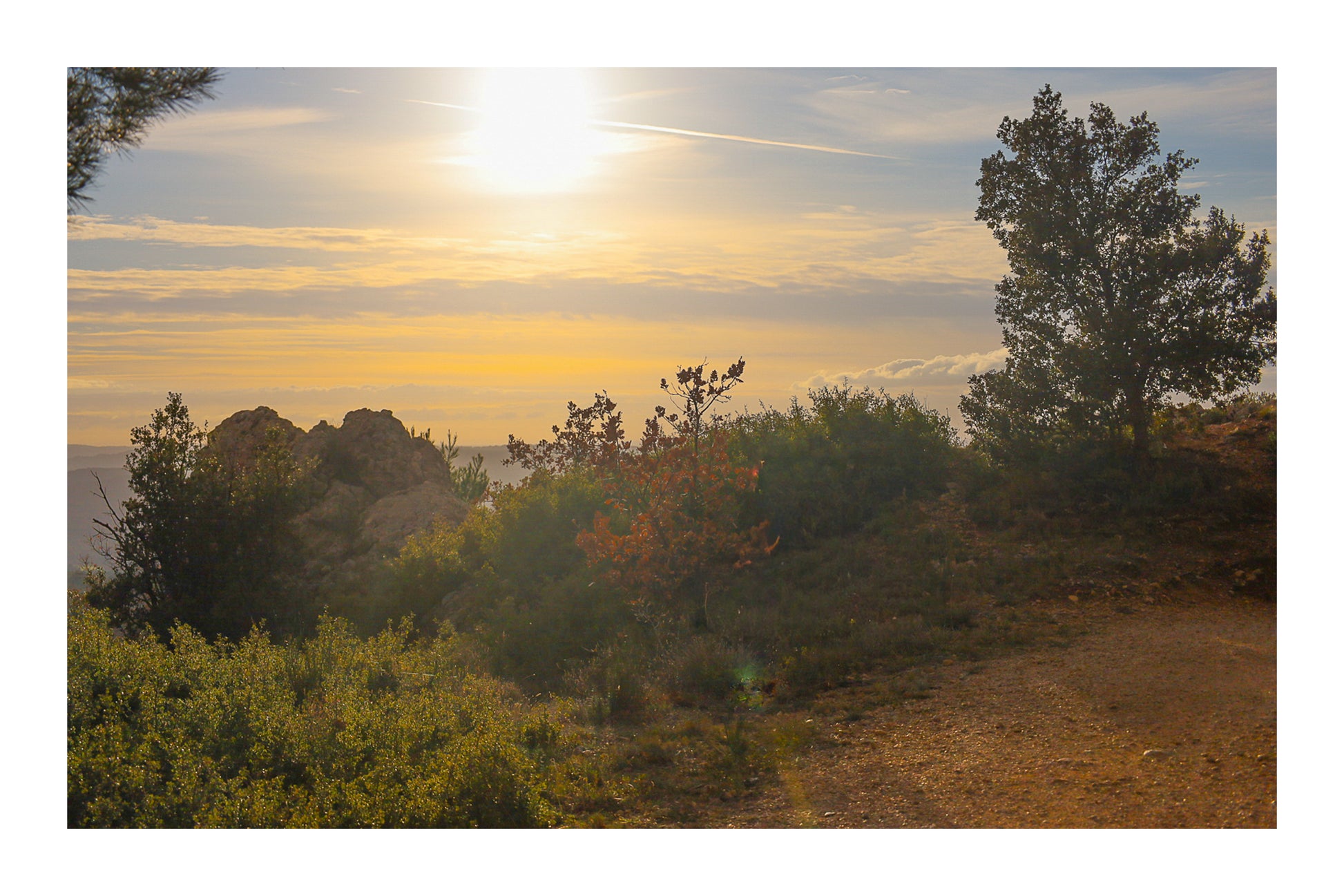 Large vue sur une forêt de pins et d’oliviers baignée par un coucher de soleil flamboyant avec bordure