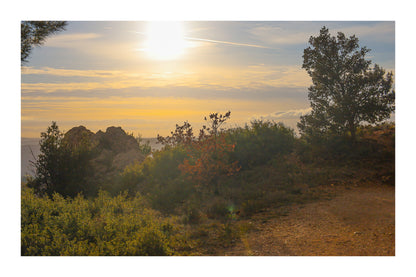 Large vue sur une forêt de pins et d’oliviers baignée par un coucher de soleil flamboyant avec bordure